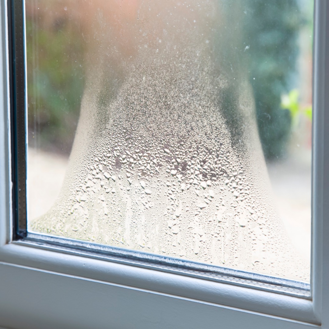 Condensation entre les vitres