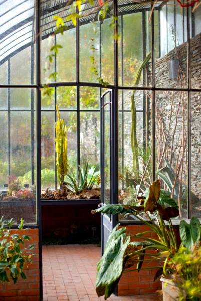 veranda, solarium avec plusieurs plantes