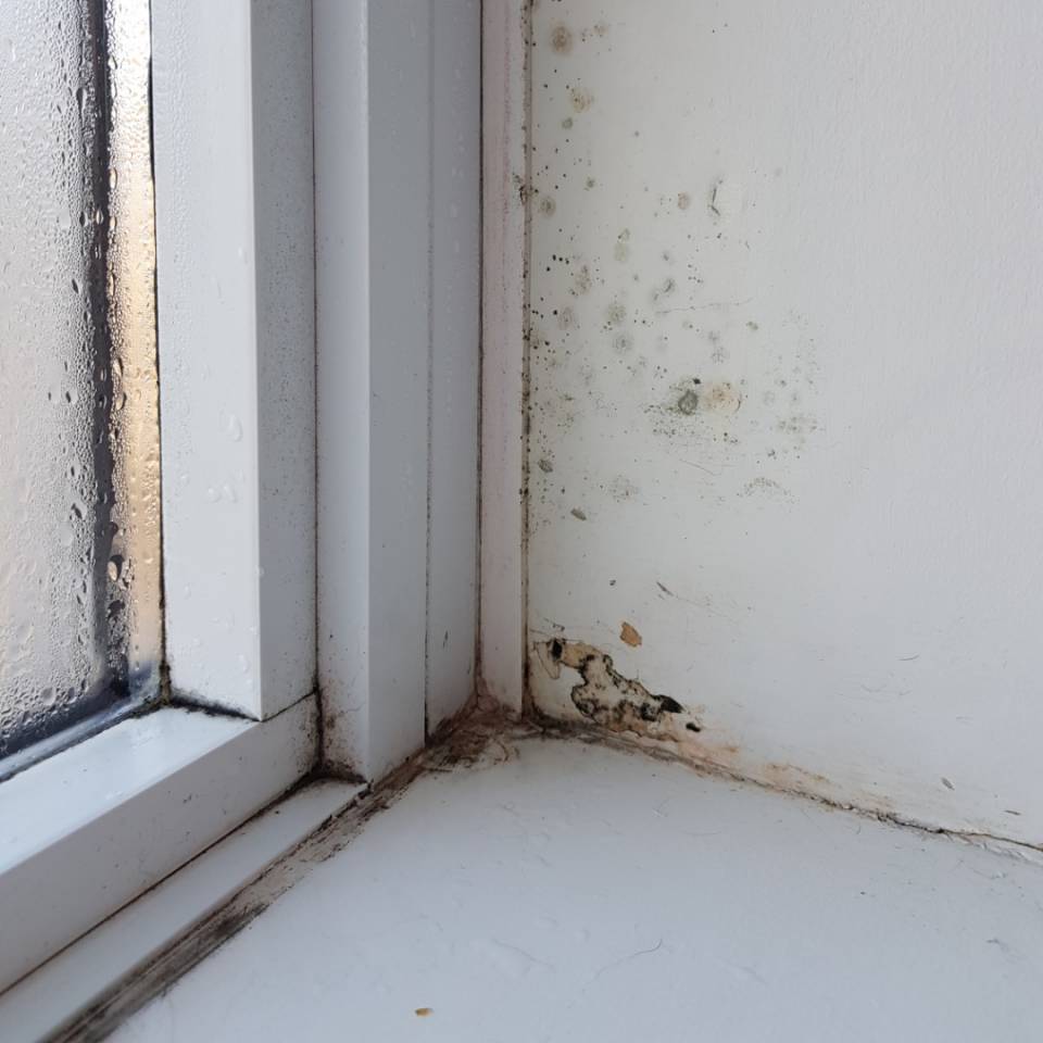 Comment réduire la condensation dans les fenêtres en hiver?